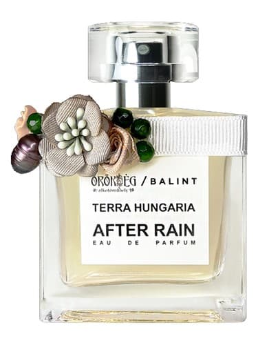 After Rain - بعد از باران