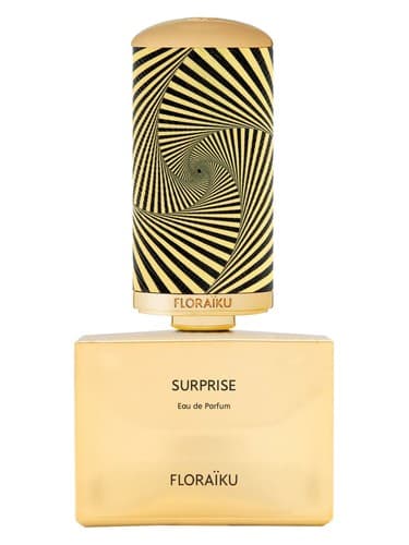 Surprise - سورپرایز