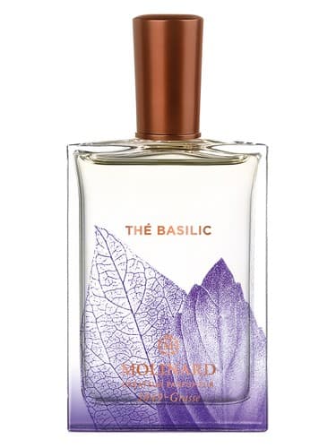 Thé Basilic - باسیلیک