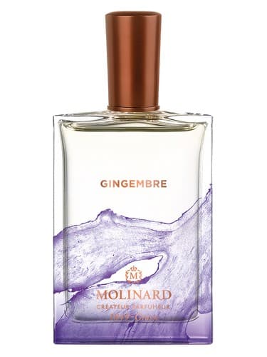 Gingembre - زنجبیل