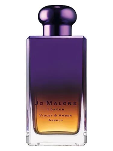Violet & Amber Absolu - وایولت و امبر ابسولو