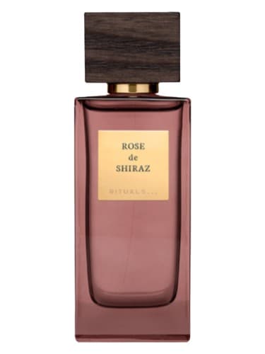 Rose de Shiraz - رز شیراز