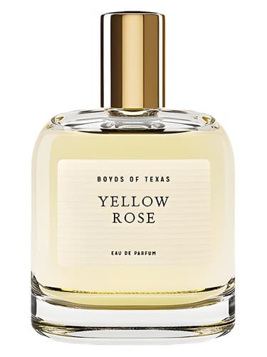 Yellow Rose - رز یلو