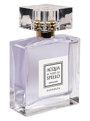 Raccolta