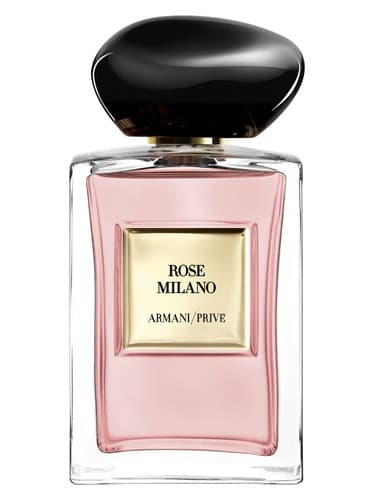 Rose Milano - رز میلانو