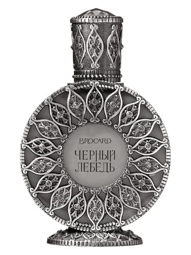 Black Swan (Черный лебедь)