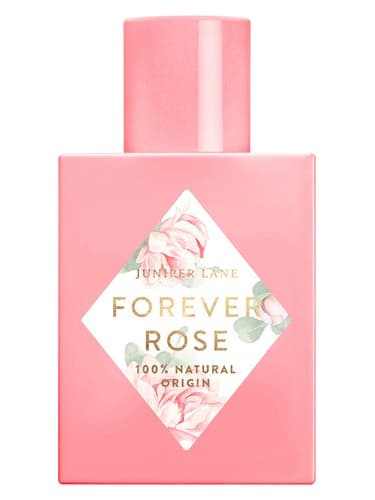 Forever Rose - برای همیشه رز