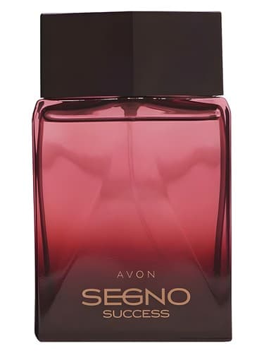 Segno Success