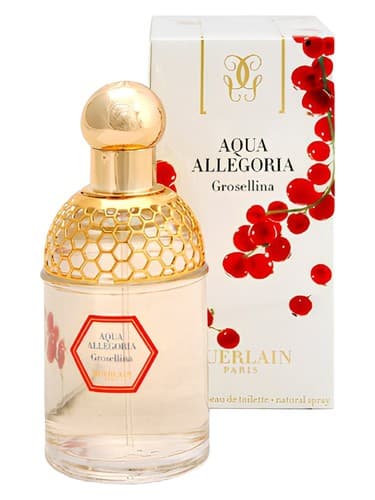 Aqua Allegoria Grosellina - آکوا آلگوریا گروسلینا
