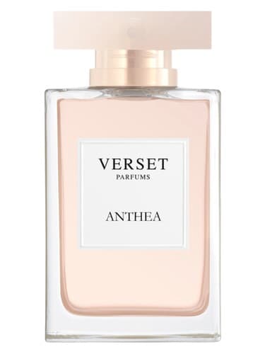 Anthea - آنته