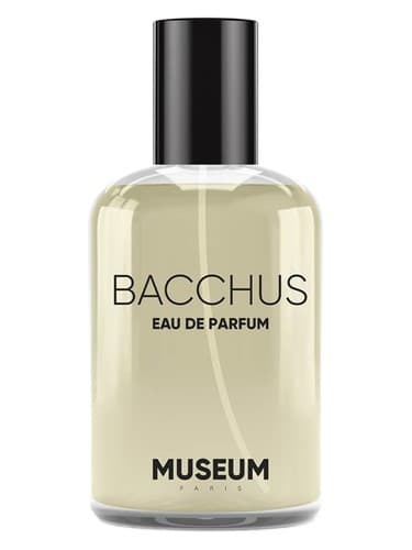 Museum Bacchus - موزه باکوس