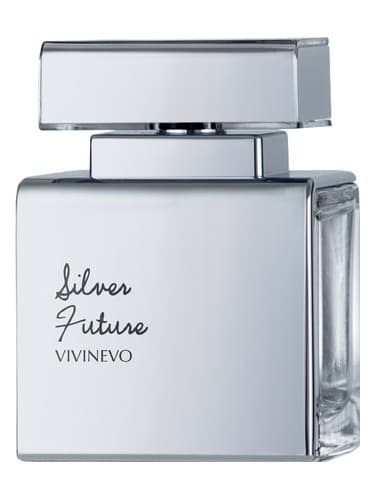 Silver Future - آینده سیلور