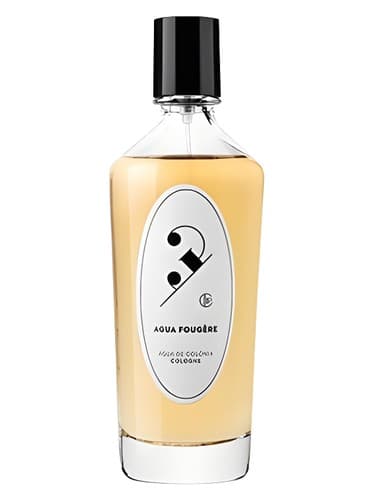 Agua Fougere - آگوا فوگره