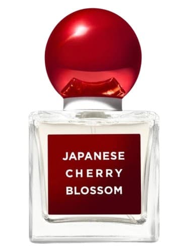 Japanese Cherry Blossom 2020 Edition