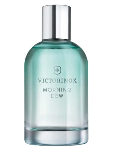 Morning Dew - شبنم صبح