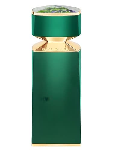 Kobraa - کبری