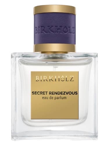 Secret Rendezvous - قرار ملاقات مخفی