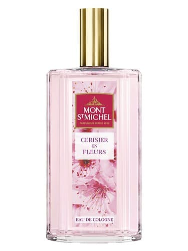Cerisier en Fleurs 