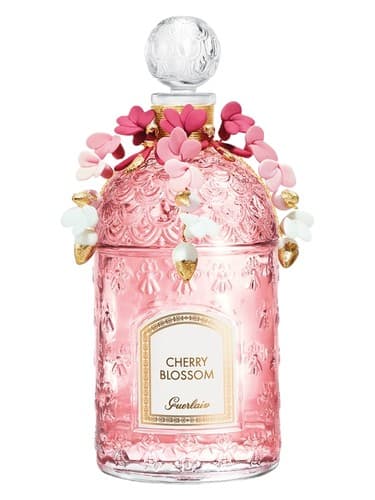 Cherry Blossom 2020 Millésime - شکوفه های چری 2020 Millésime