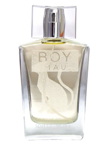 Boy - پسر