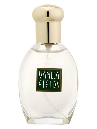 Vanilla Fields - مزارع وانیلی