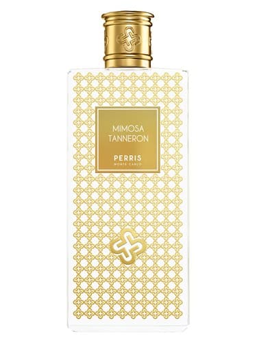 Mimosa Tanneron - میموسا تانرون