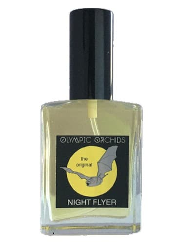 Night Flyer - بروشور نایت