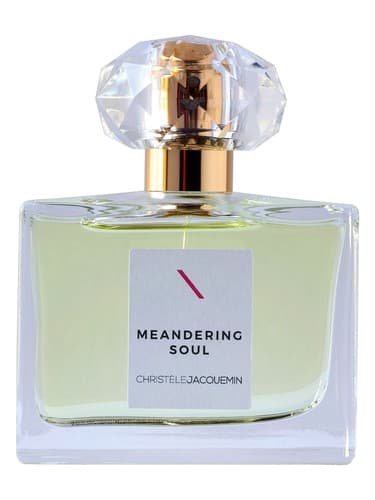 Meandering Soul - روح پرپیچ و خم