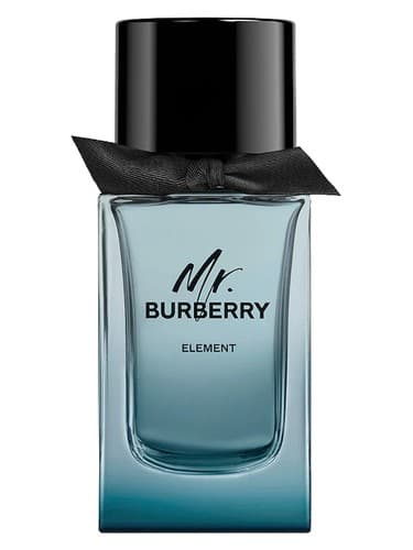 Mr. Burberry Element - آقای باربری المنت