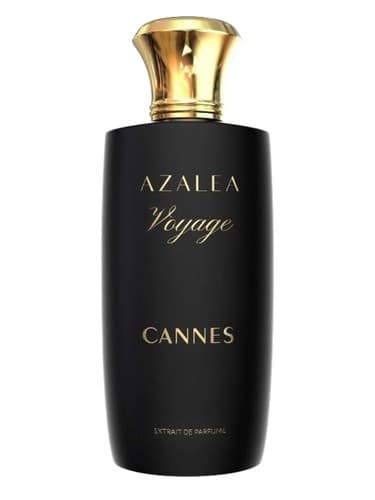 Cannes - کن