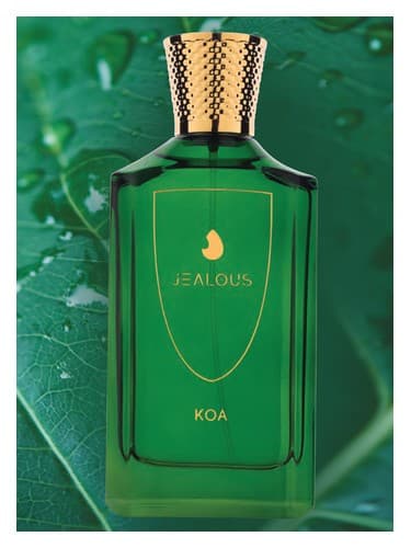 Koa - کوآ