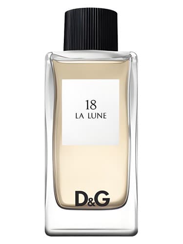 D&G Anthology La Lune 18 - گلچین D&G La Lune 18