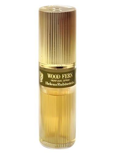 Wood Fern - سرخس چوبی