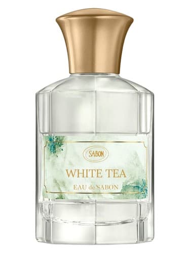 White Tea - تی وایت