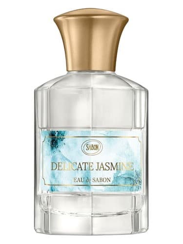 Delicate Jasmine - یاسمن ظریف