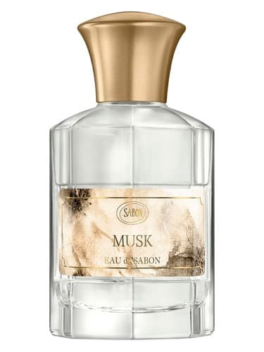 Musk - مشک