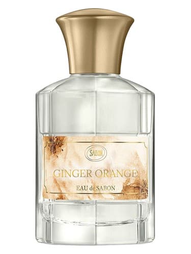Ginger Orange - اورنج زنجبیل