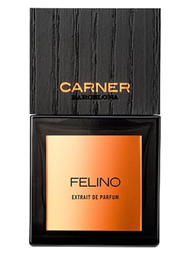 Felino - فلینو