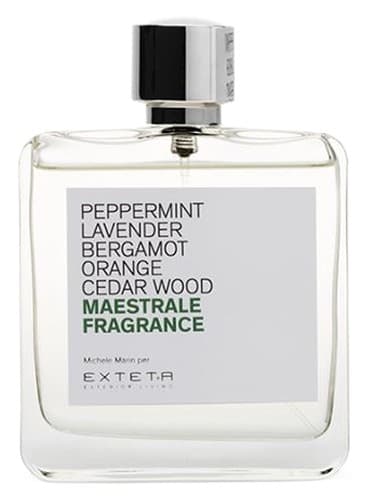 Maestrale Fragrance - عطر Maestrale