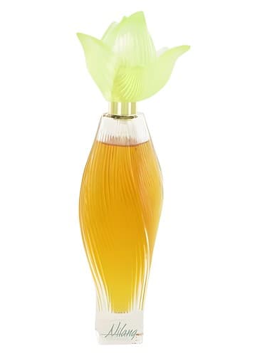 Nilang - نیلانگ