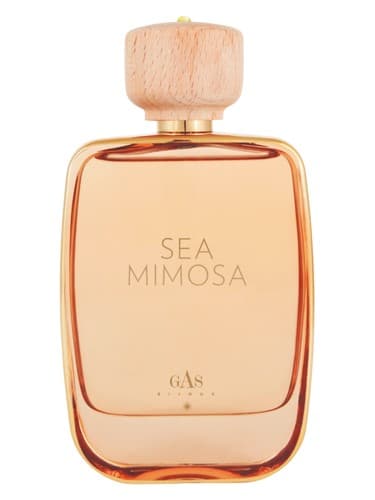 Sea Mimosa - میموسای دریایی