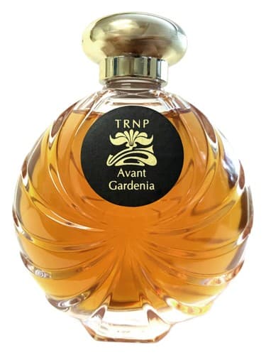 Avant Gardenia