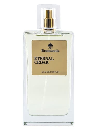 Eternal Cedar - سرو ابدی