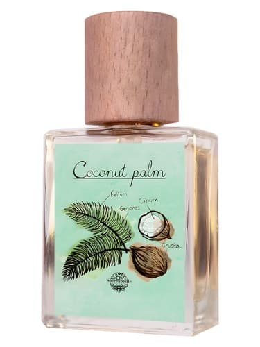 Coconut Palm