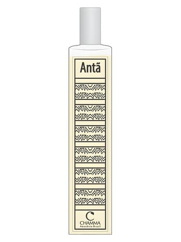 Antã