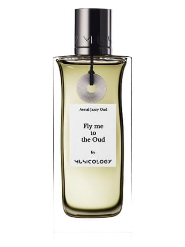 Fly Me To The Oud - پرواز من به عود