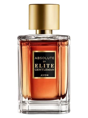 Absolute By Elite Gentleman