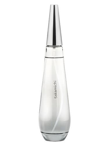 Ice by Sakamichi Silver Woman - Ice توسط Sakamichi Silver Woman