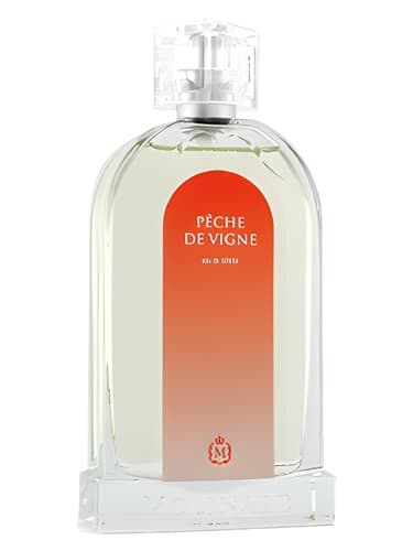 Pêche de Vigne