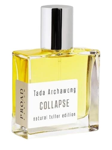 Collapse - فرو ریختن
